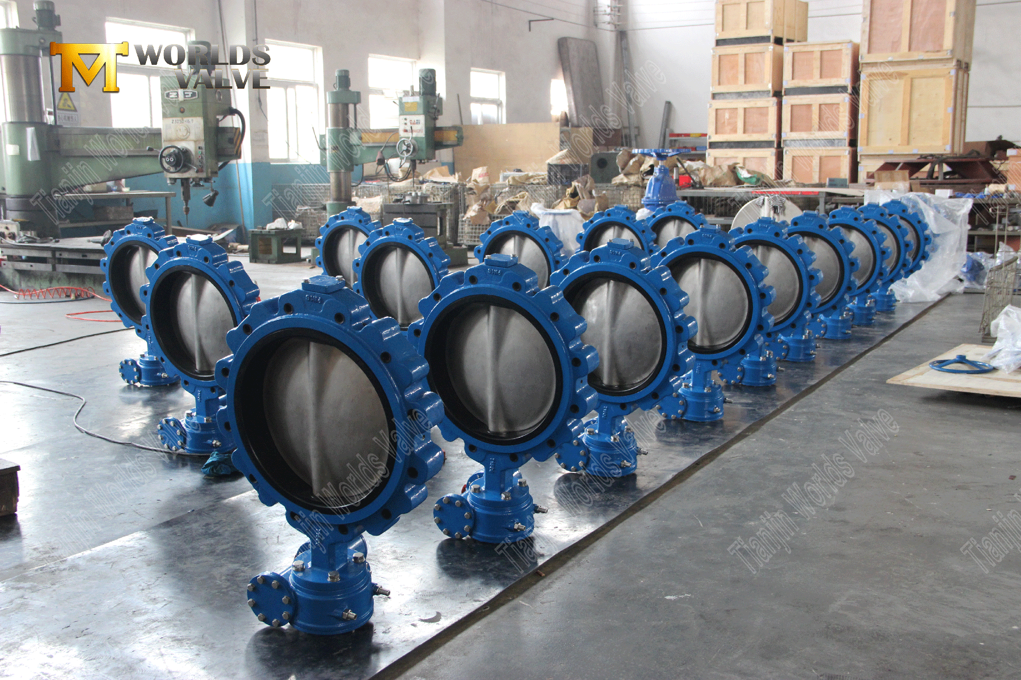 EPDM Seat Lug Butterfly Valves EPDM Koltuk Di Lug Kelebek Valfı Solucan Dişli