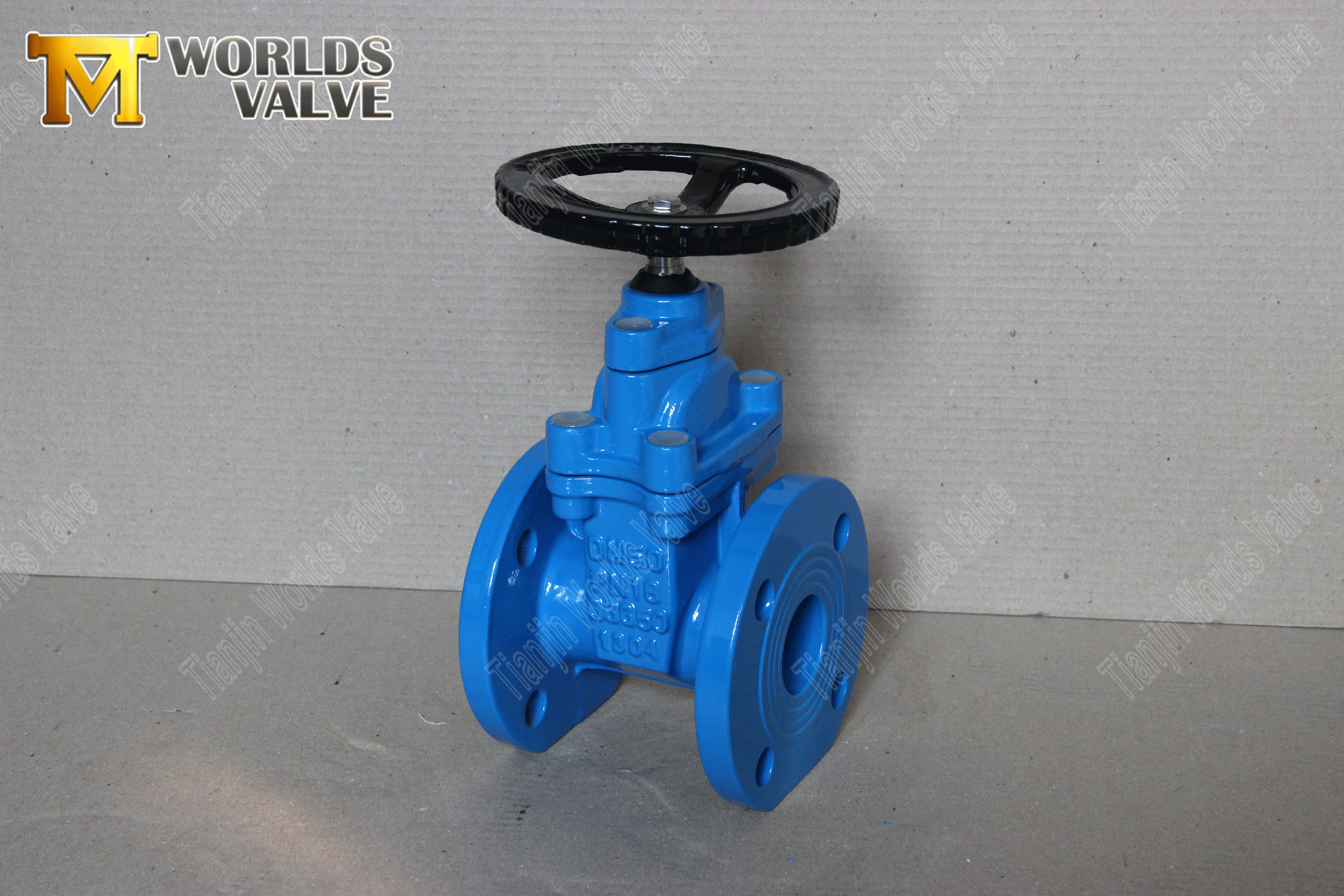 Gate Valve Supplied by Tianjin Worlds Valve AWWA-C509-GATE-VALVE-STISLIENT-SEAT