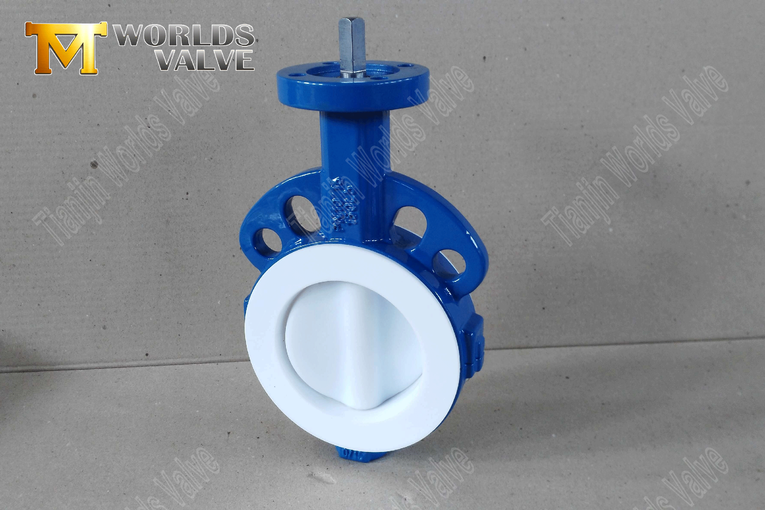 PTFE Lined Butterfly Valve PTFE kaplı-Butterfly-valve2