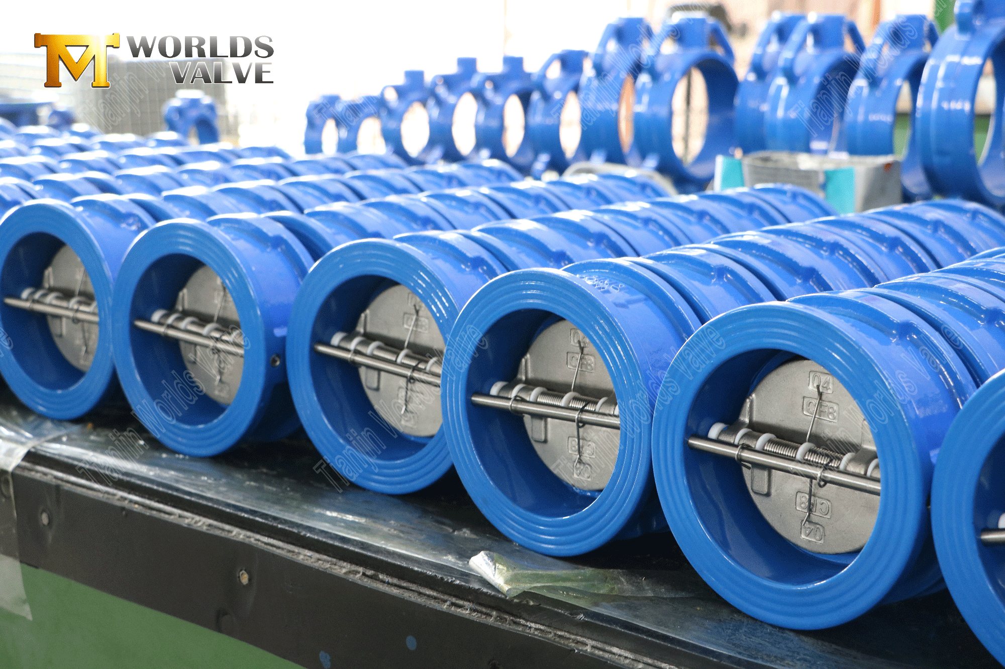 Dual Plate Check Valves EPDM koltuğu ve SS diskli çift plaka çek valfı PN16