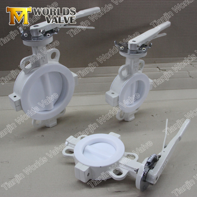 Wafer flanşlı PTFE astarlı Kelebek Vana