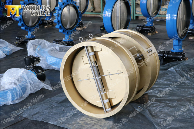 Alüminyum Bronz C95400 C95500 C95800 Çift Kapılı Çek Valfler