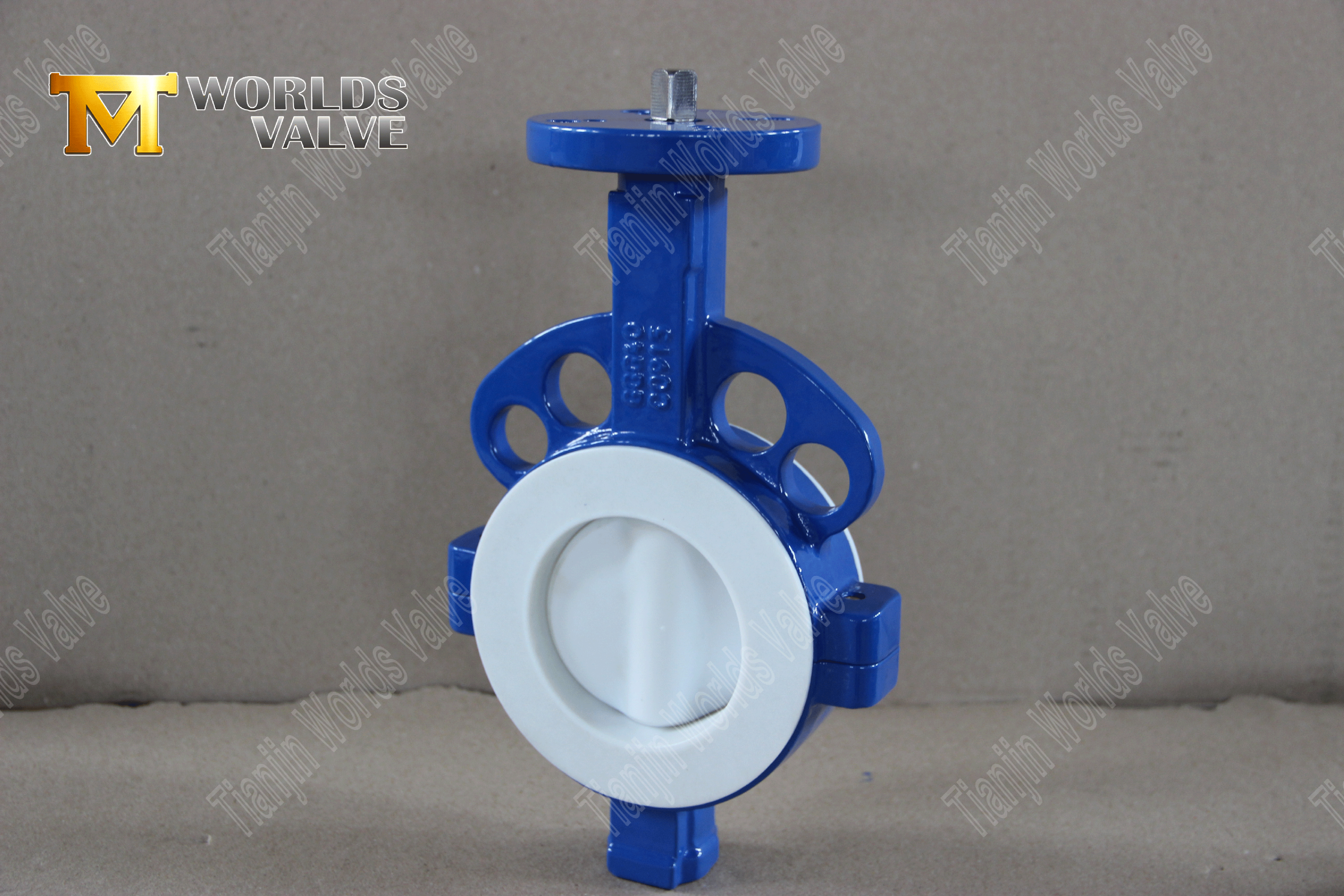 PTFE kaplı-butterfly-valf