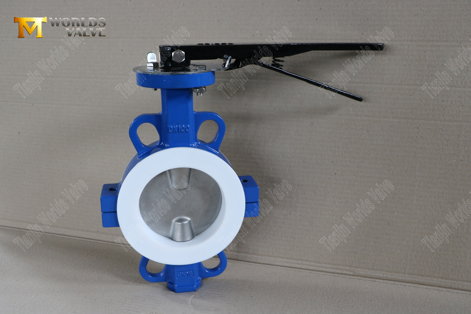 DN100-Teflon-D&uuml;zeyli-Kazan-B&ouml;l&uuml;nm&uuml;ş-Body-Butterfly-Valves-Korozyona Dayanıklı Akış-Kontrol- (1)