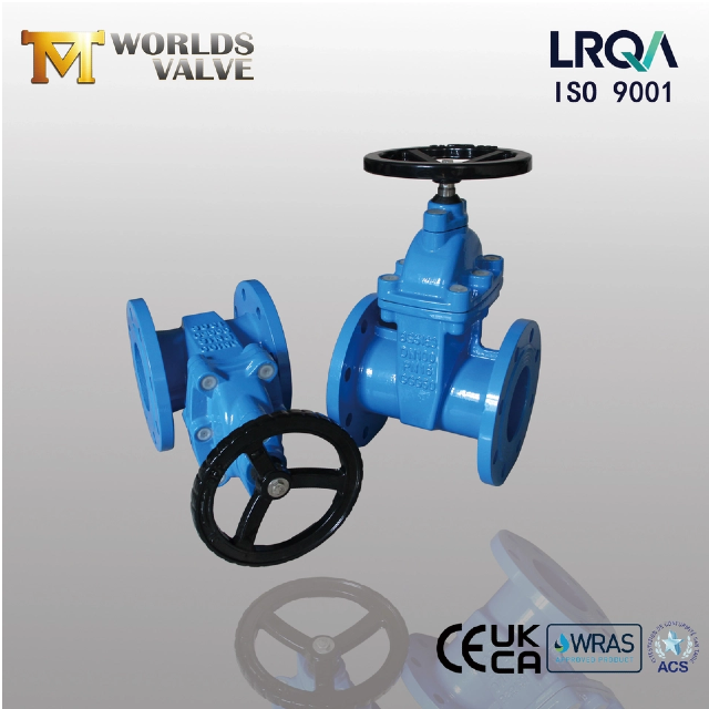 ResilientSeatedGateValves Türlerini ve Özel Özelliklerini Keşfetmek