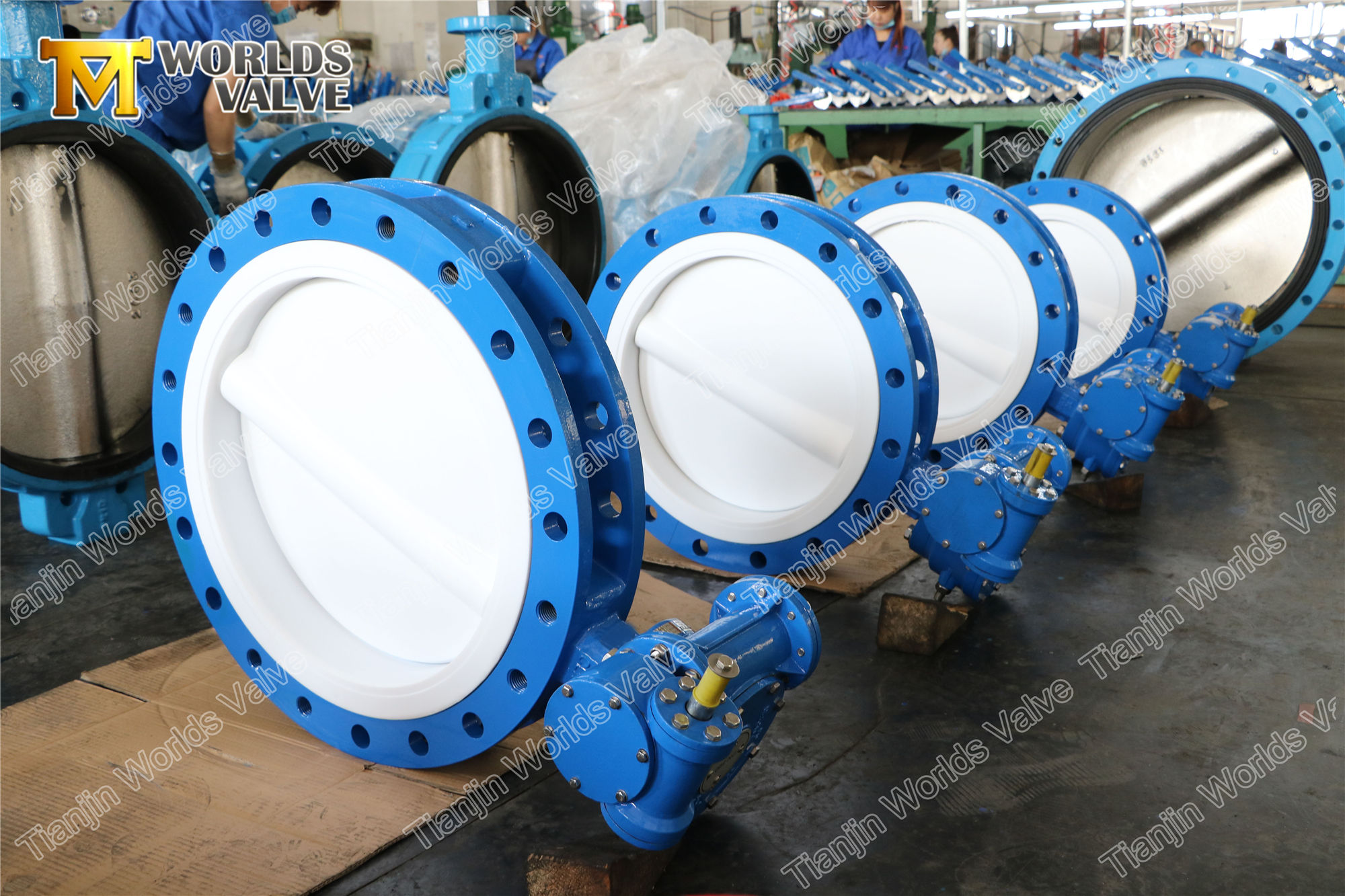 4 A536 A395 Sfero Demir PTFE Kelebek Vana