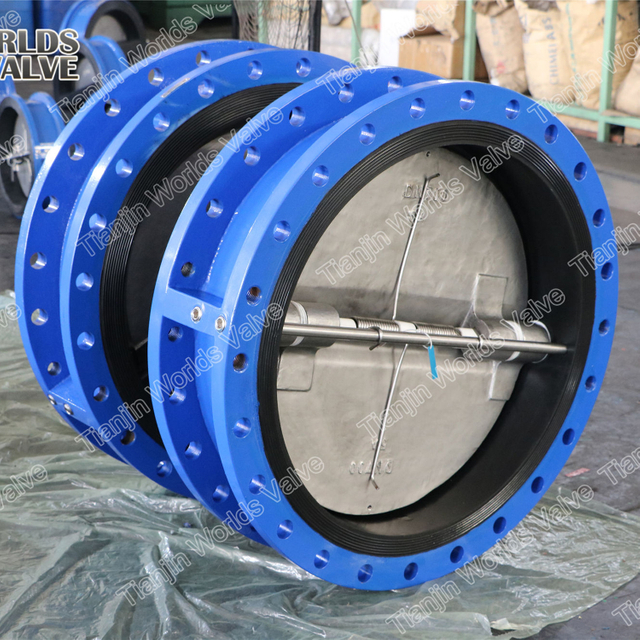 Çift flanş bağlantısı olan tam kauçuk kaplı çek valfi