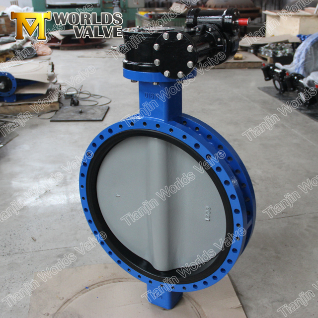 Naylon Kaplamalı Çift Flanşlı Kelebek Valfleri Class125 Class150