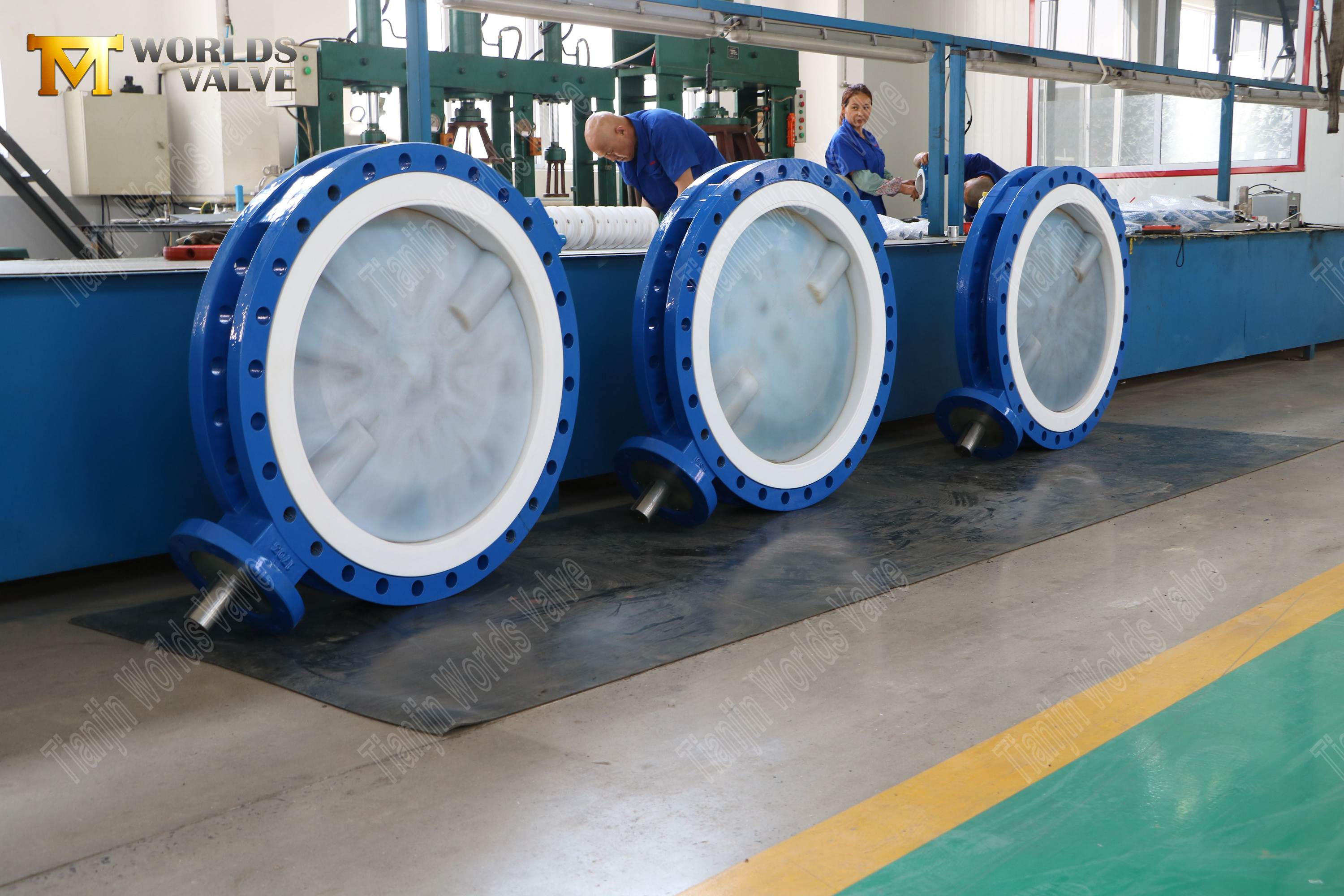 Kimyasal Servis i&ccedil;in PFA Kelebek Vana 150LB, PTFE Yataklı, Dişliyle Kumandalı (7)