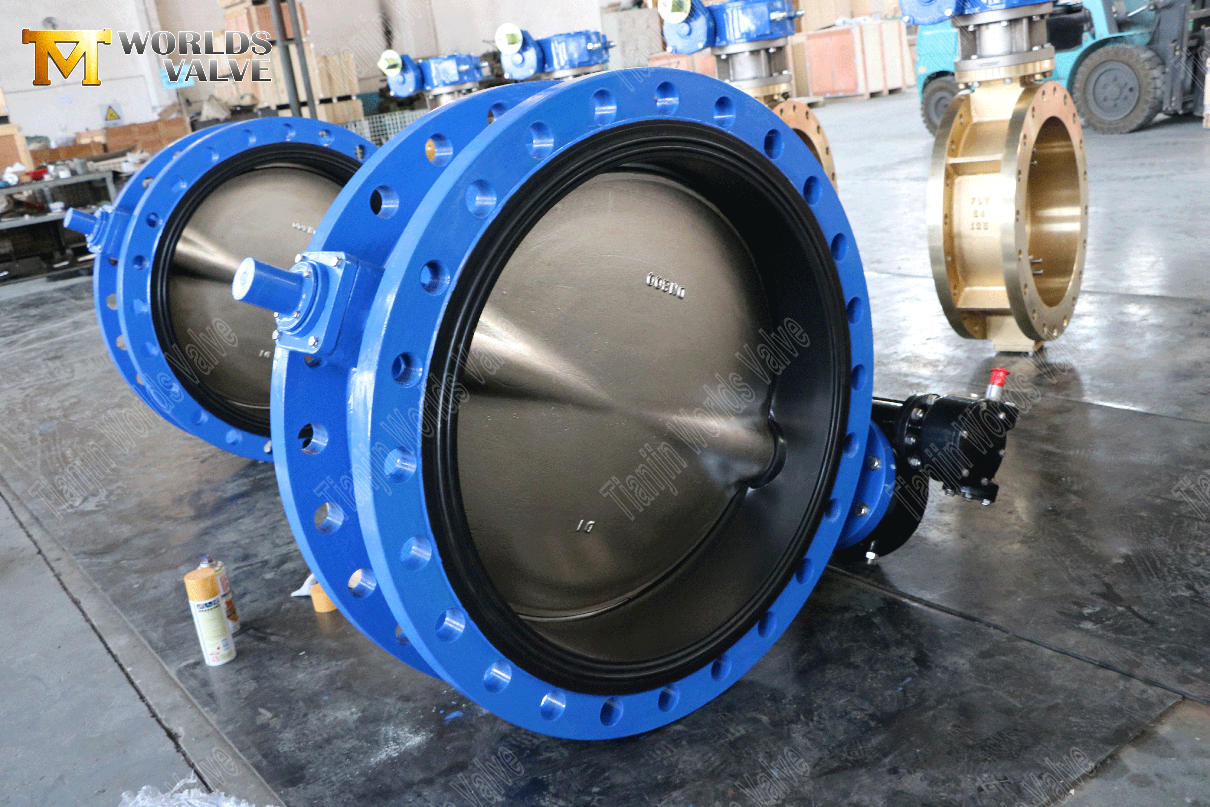 Kelebek Valf &Uuml;reticileri - Esnek Oturmuş &Ccedil;ift Flanşlı Kelebek Valfı (1)