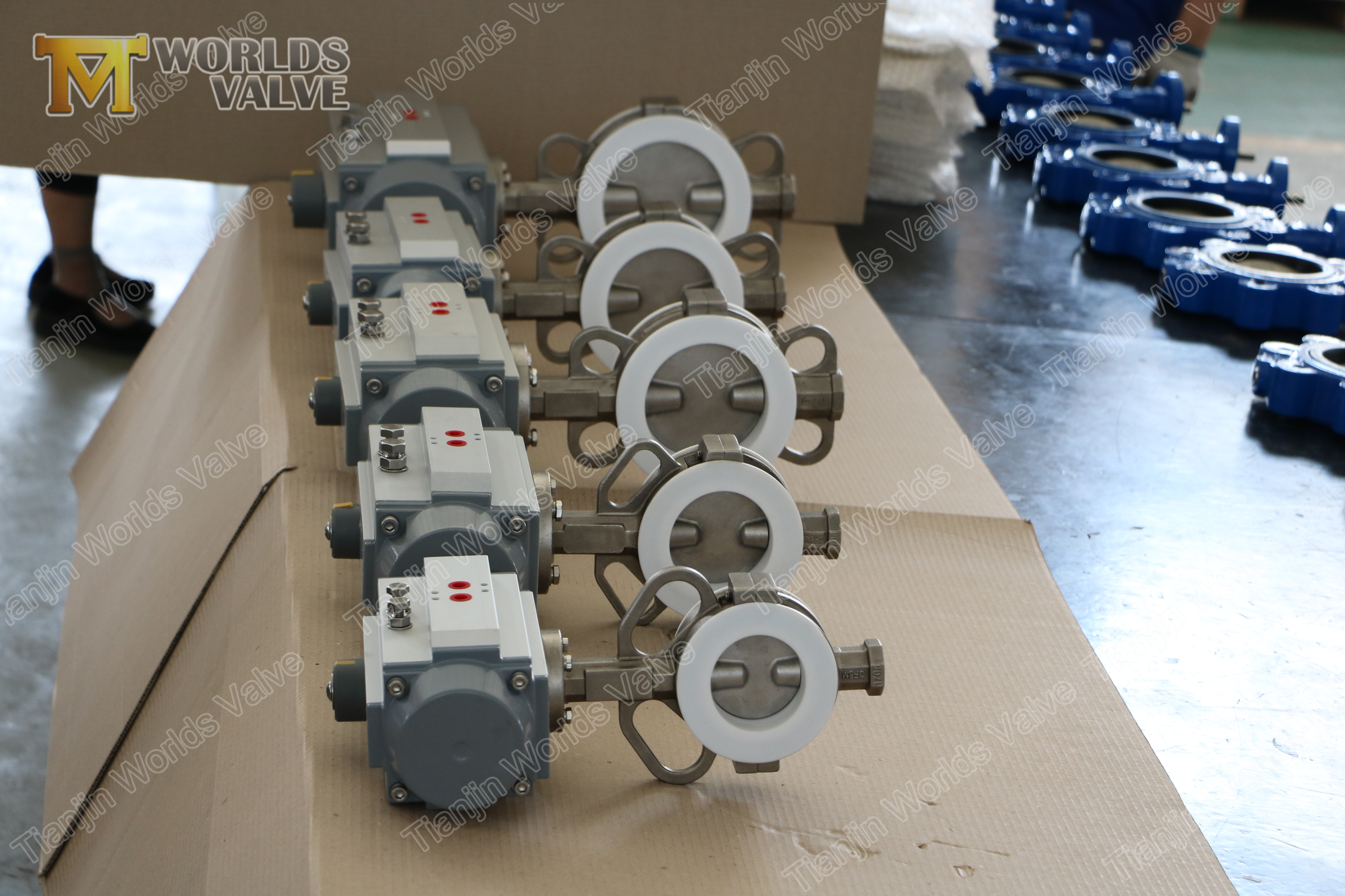 5 Penumatic PTFE Kaplamalı Kelebek Vana, Paslanmaz &Ccedil;elik Disk