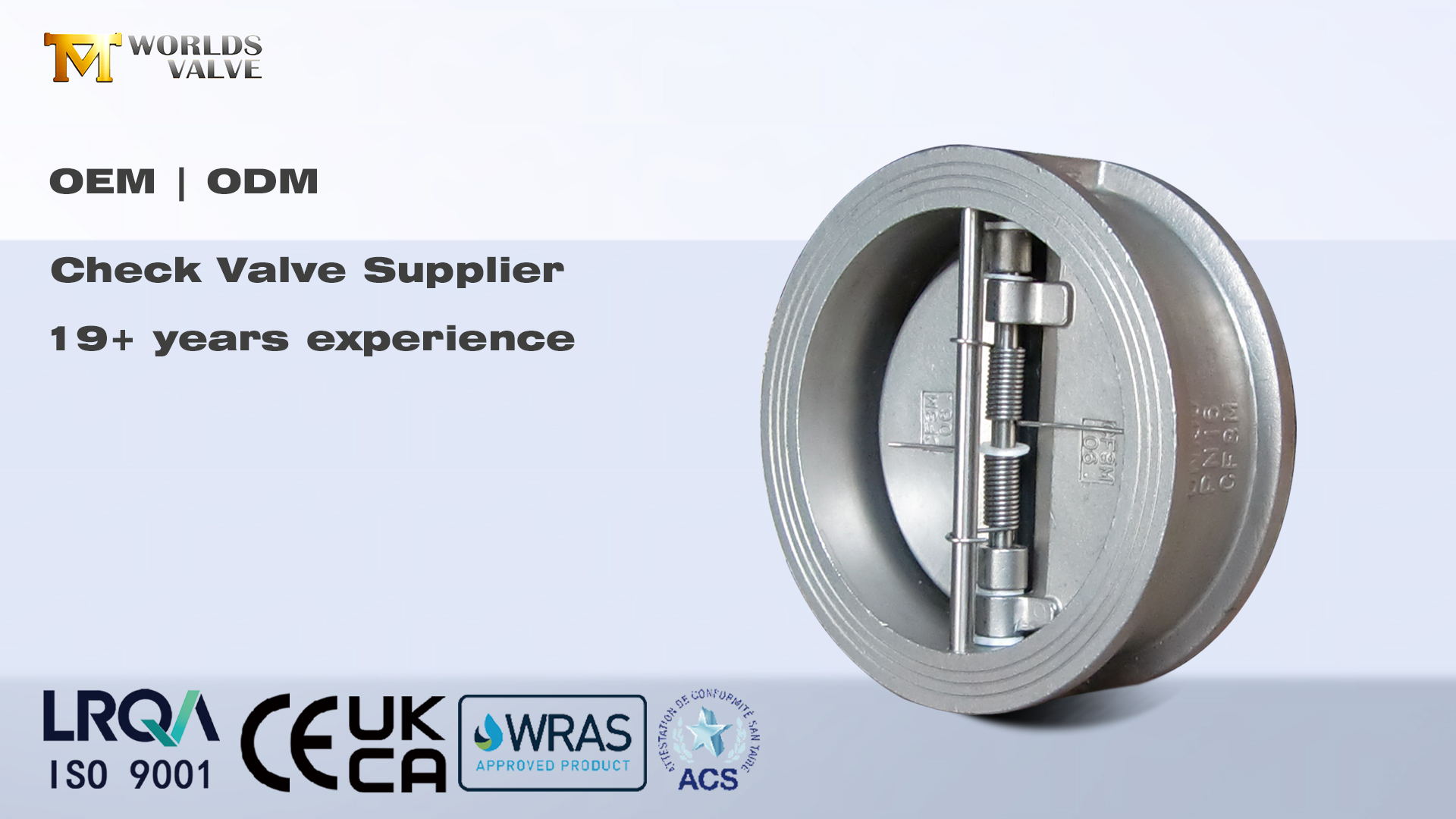 Çek Valfler: Endüstriyel Sistemler için Temel Geri Akış Önleme | Dünyalar Valfi