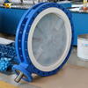PTFE SEAT PFA Kaplı Disk Kelebek Vanaları | Ultra saf korozyon savunması