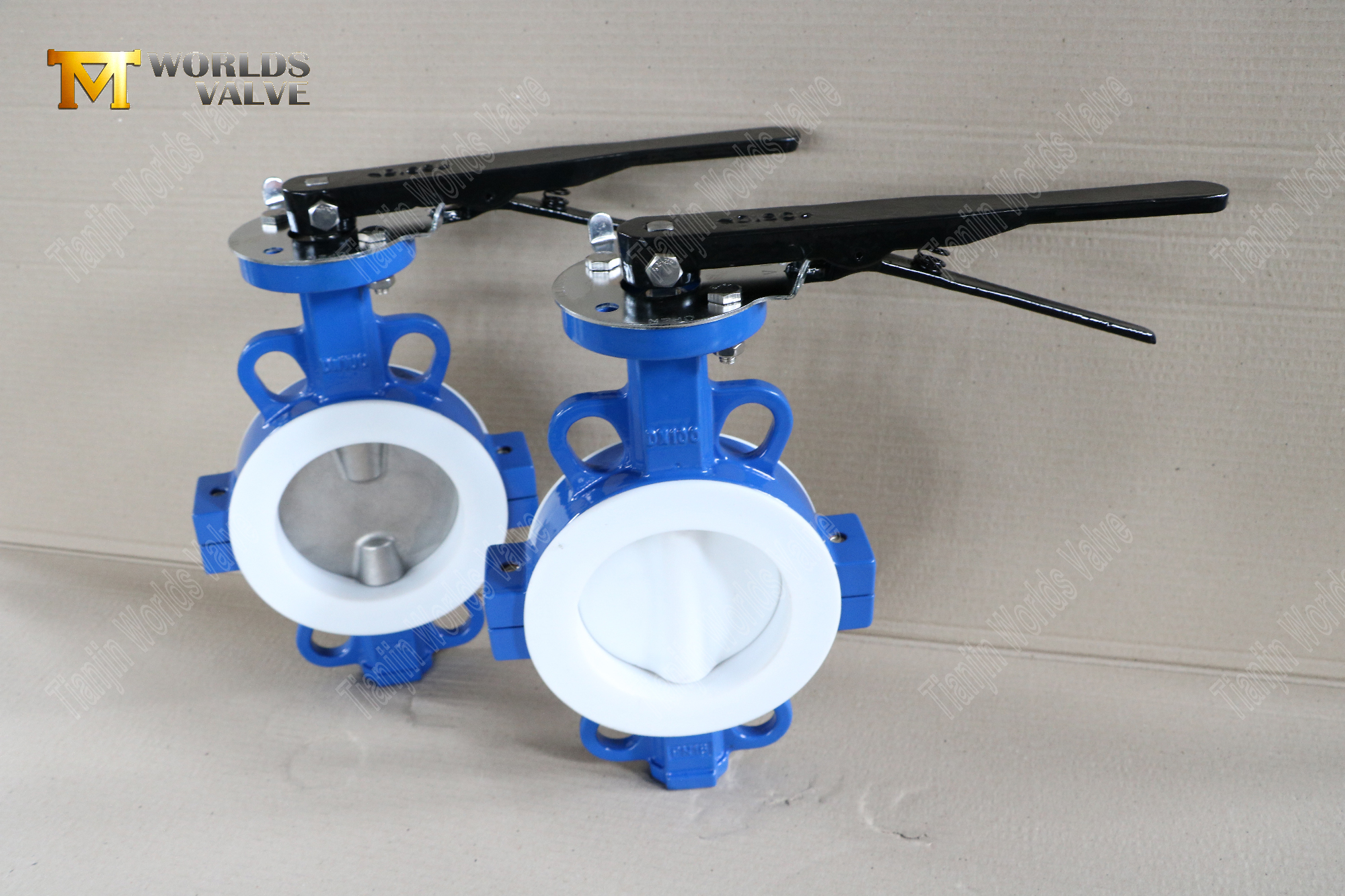 DN100-Teflon-D&uuml;zeyli-Kazan-S&ouml;zl&uuml;-Body-Butterfly-Valves-Korozyona Dayanıklı Akış-Kontrol- (2)
