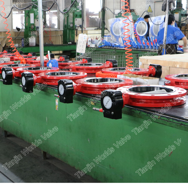 Eşmerkezli Hattı Vulkanize Gümrüklü Koltuk Kelebek Vanası FBE Çift Flanş U bölümü