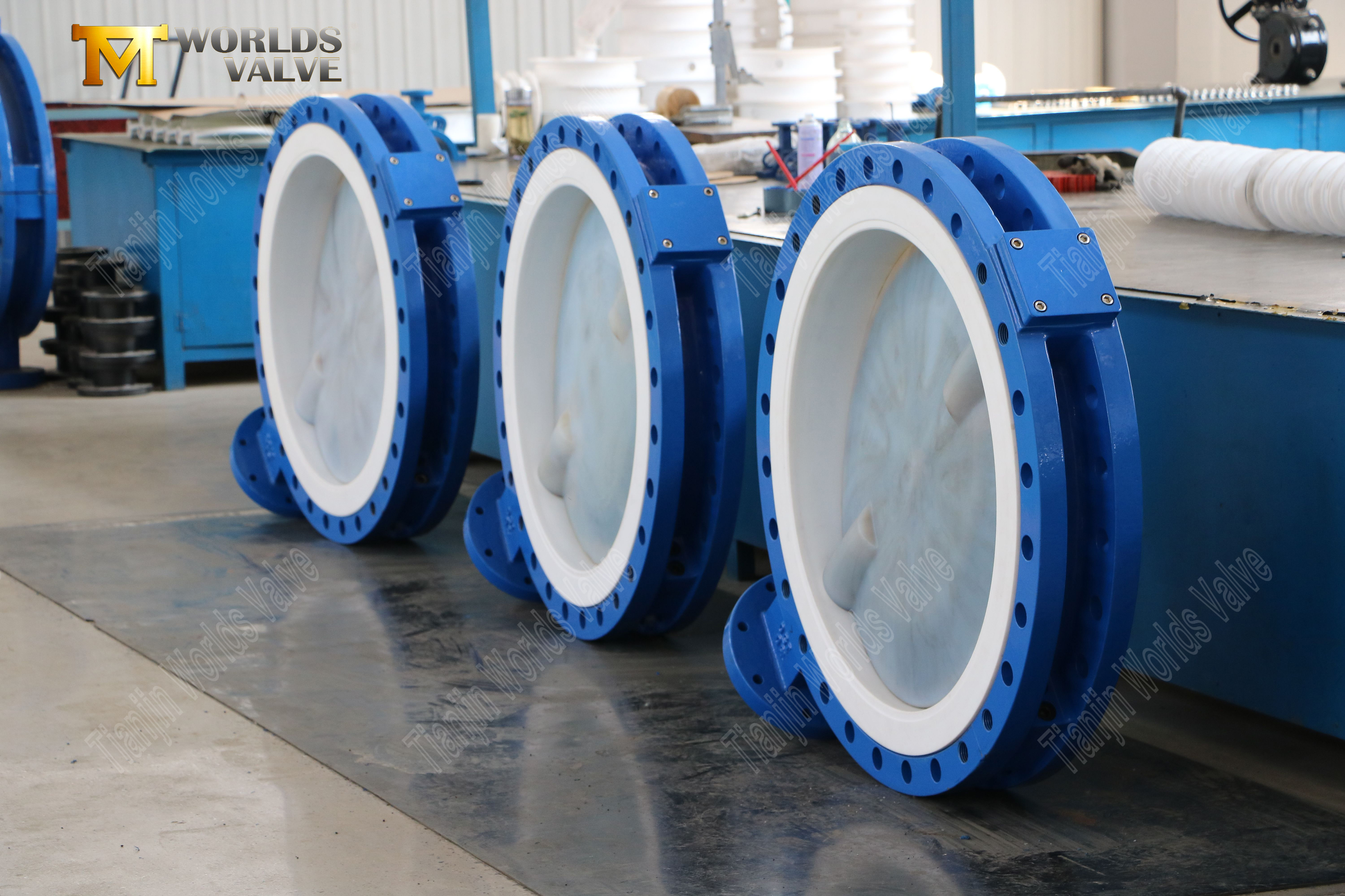Kimyasal Servis i&ccedil;in PFA Kelebek Vana 150LB, PTFE Yataklı, Dişliyle Kumandalı (6)