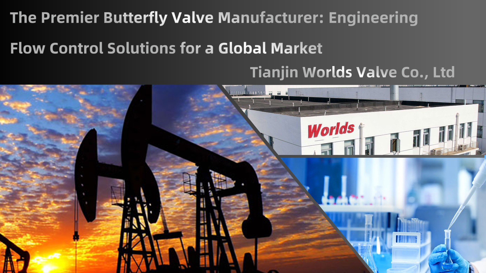 Öncü Kelebek Vana Üreticisi: Küresel Pazar için Mühendislik Akış Kontrol Çözümleri | Tianjin Worlds Valve Co., Ltd.