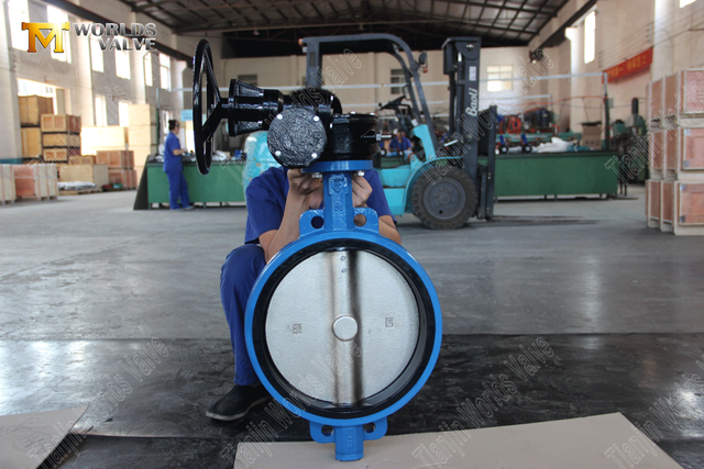 Kauçuk kaplı solucan dişli çalıştırılmış gofret tipi kelebek vanalar