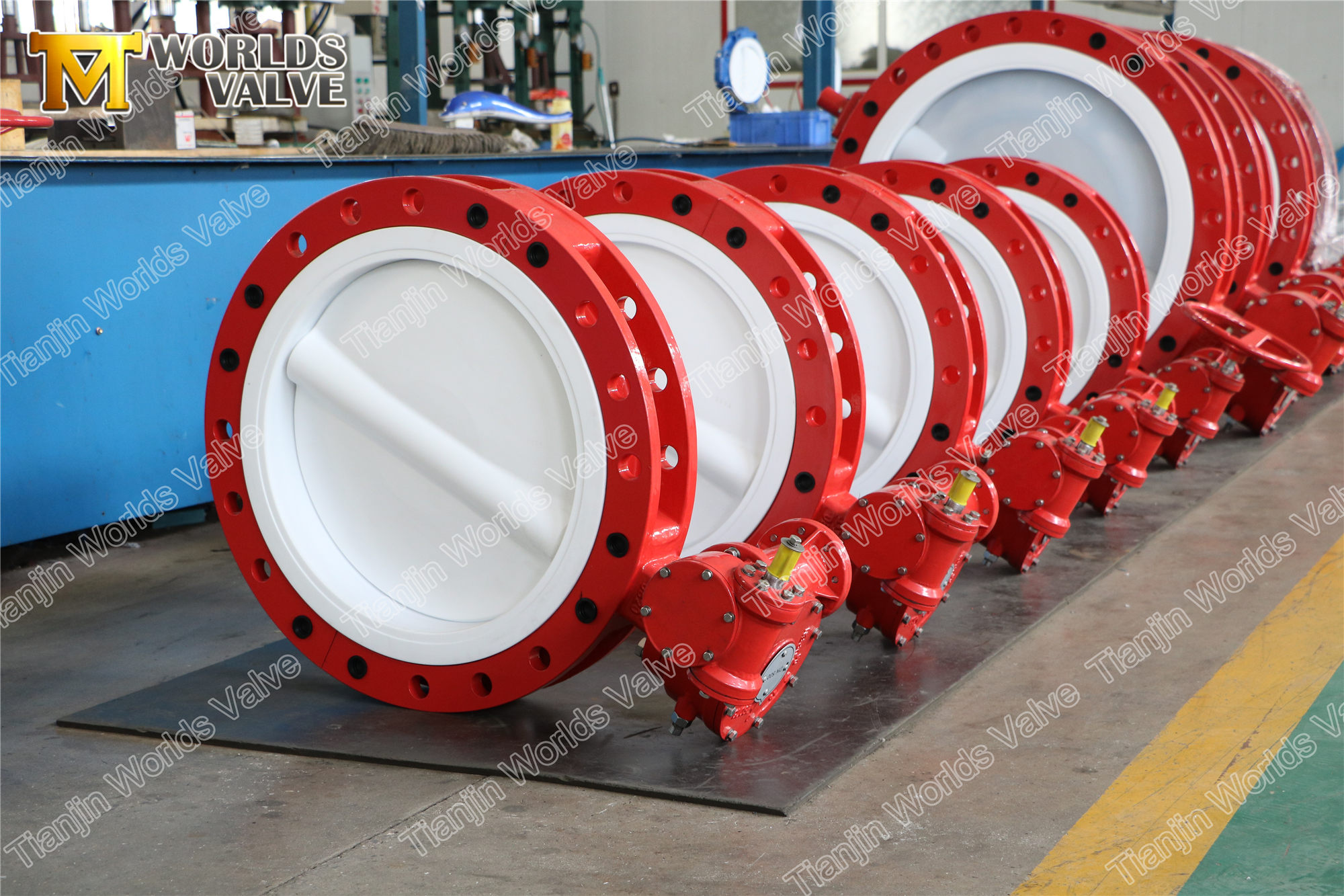 2 Tam PTFE Astar Gofret Tipi Konsantrik Kelebek Vana