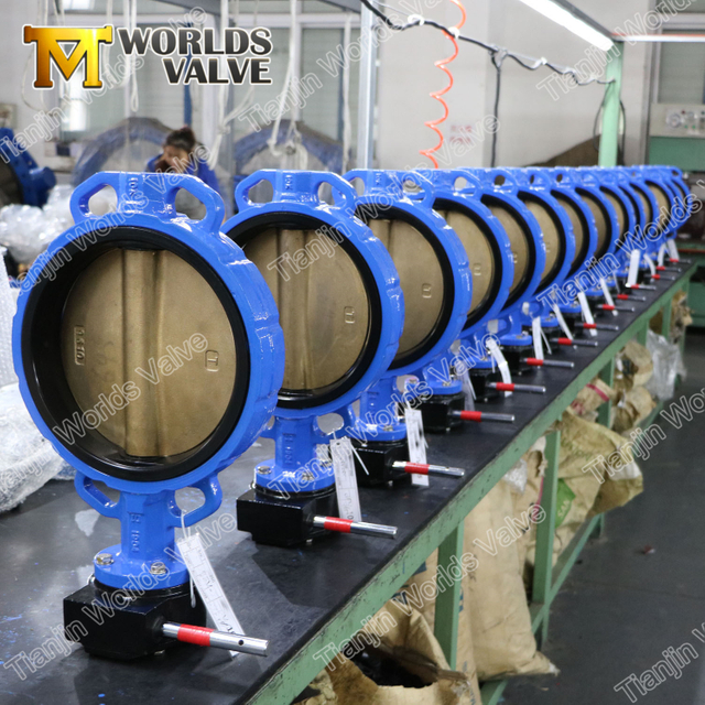 GGG40 / GGG50 A536 A395 Sfero Demir Kelebek Vanaları