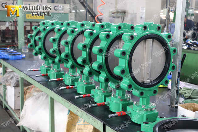 Eşmerkezli Pabuç Tipi Kelebek Vana EN593 API609 Class150