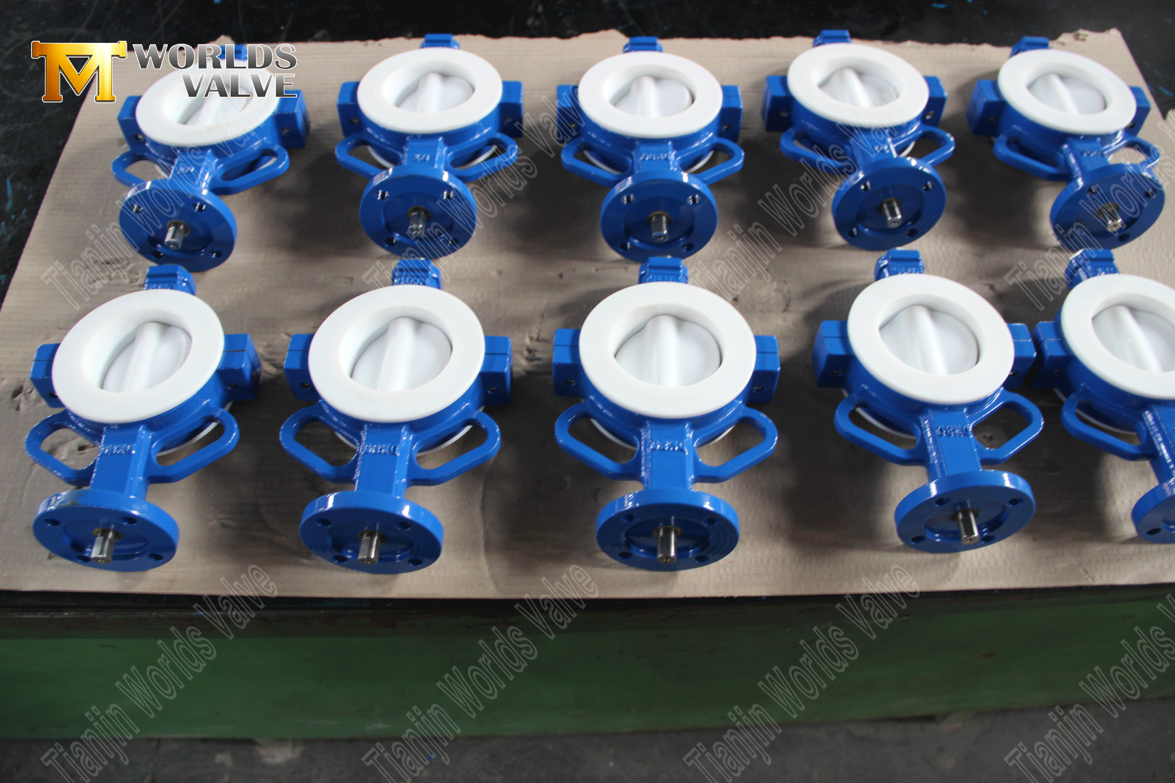 PTFE-LICED-BUTERFLY-VAVES-WAFER-TİPLİ-VALVE-VALVE-FROCTORY-FROMINA- (5)