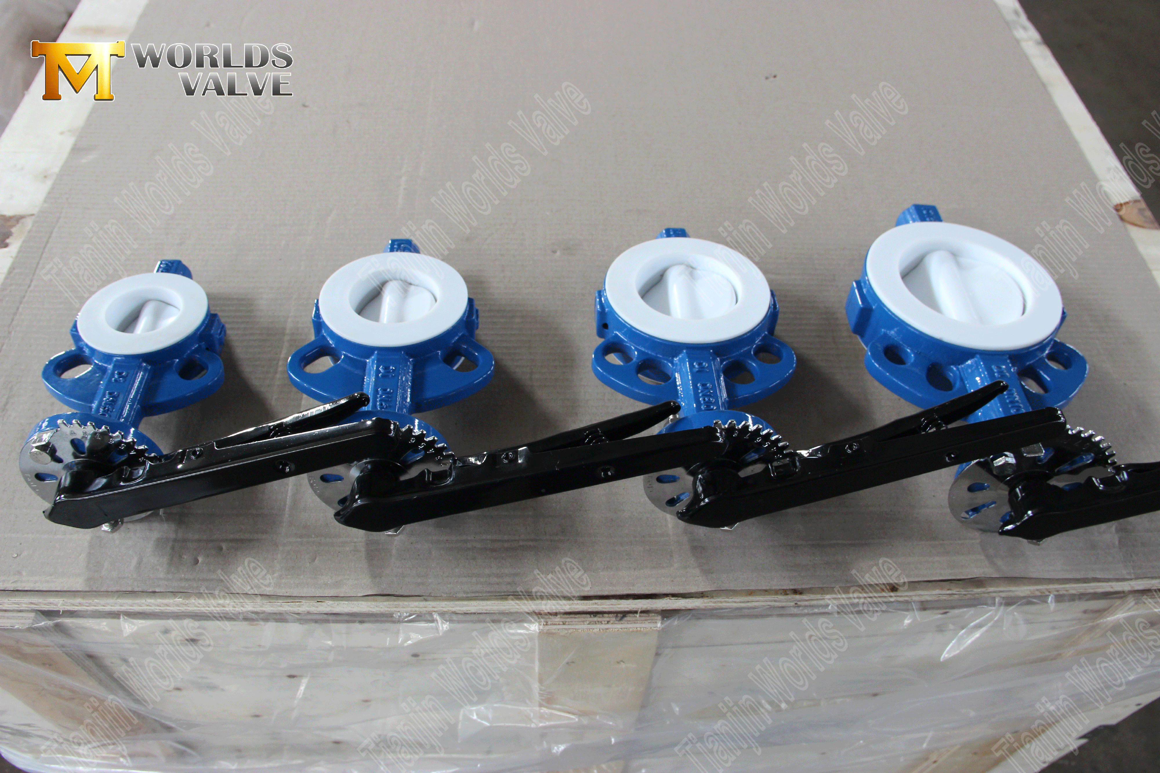 PTFE kaplı-Vahip-Vasal-Wafer-Tip-Valve-Valve-From-From-From- (7)