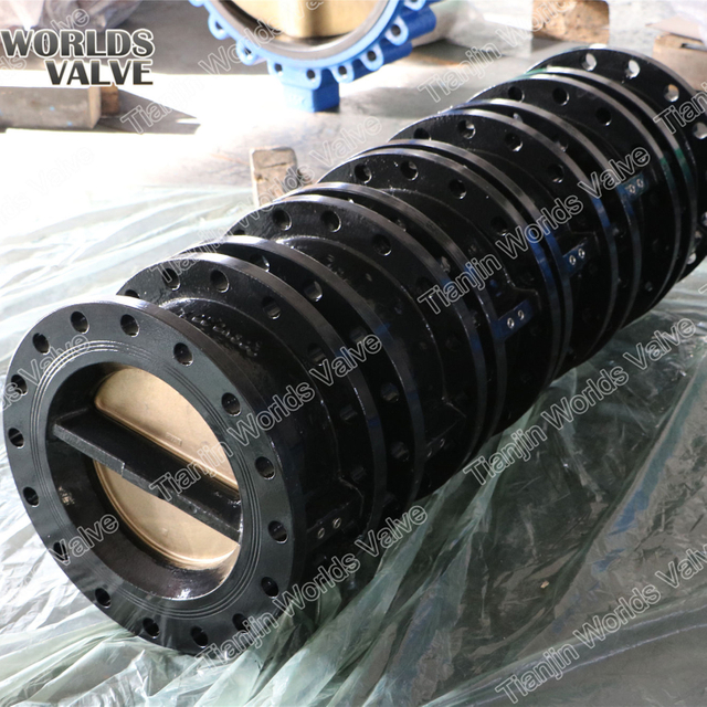 Çift Kapılı Çift Flanşlı Çek Valf Geri Dönüşsüz