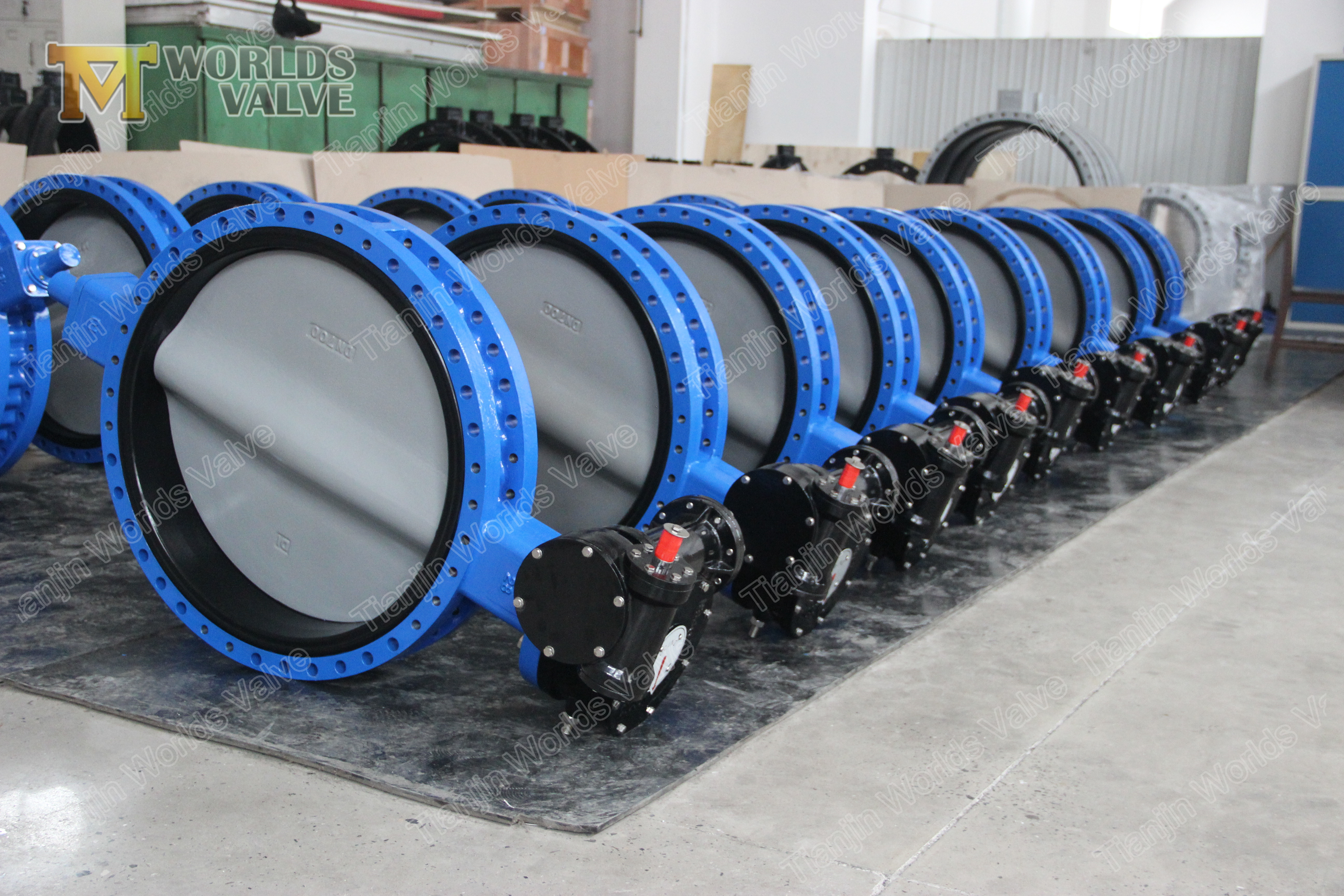 5 &Ccedil;ift Flanş Kelebek Vana Cartrige API609 Sınıf 150 PN10 PN16
