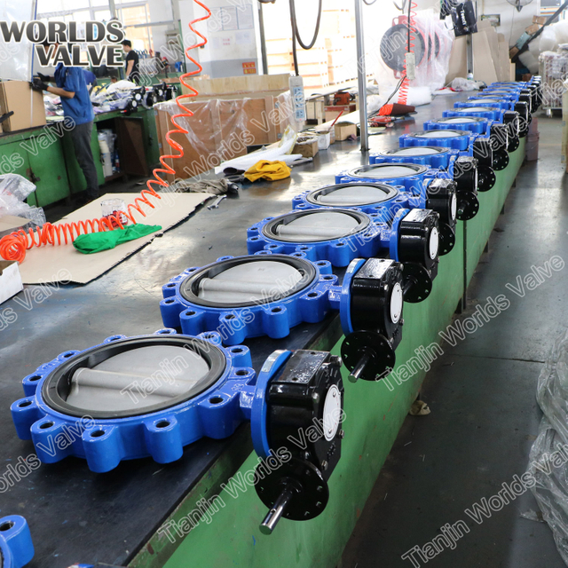 Gıda Sınıfı Kelebek Kontrol Vanaları