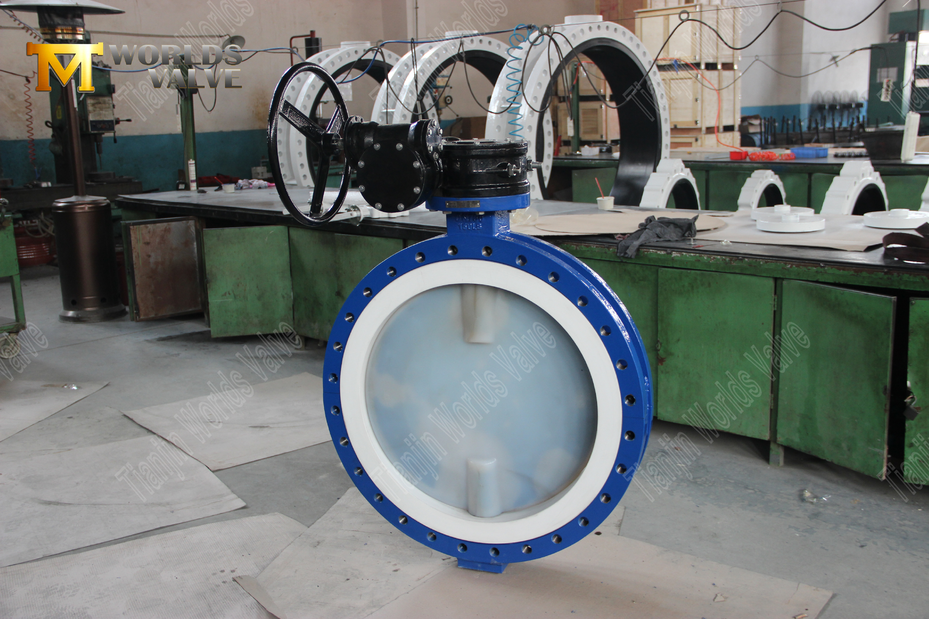 Kimyasal Servis i&ccedil;in PFA Kelebek Vana 150LB, PTFE Yataklı, Dişliyle Kumandalı (5)