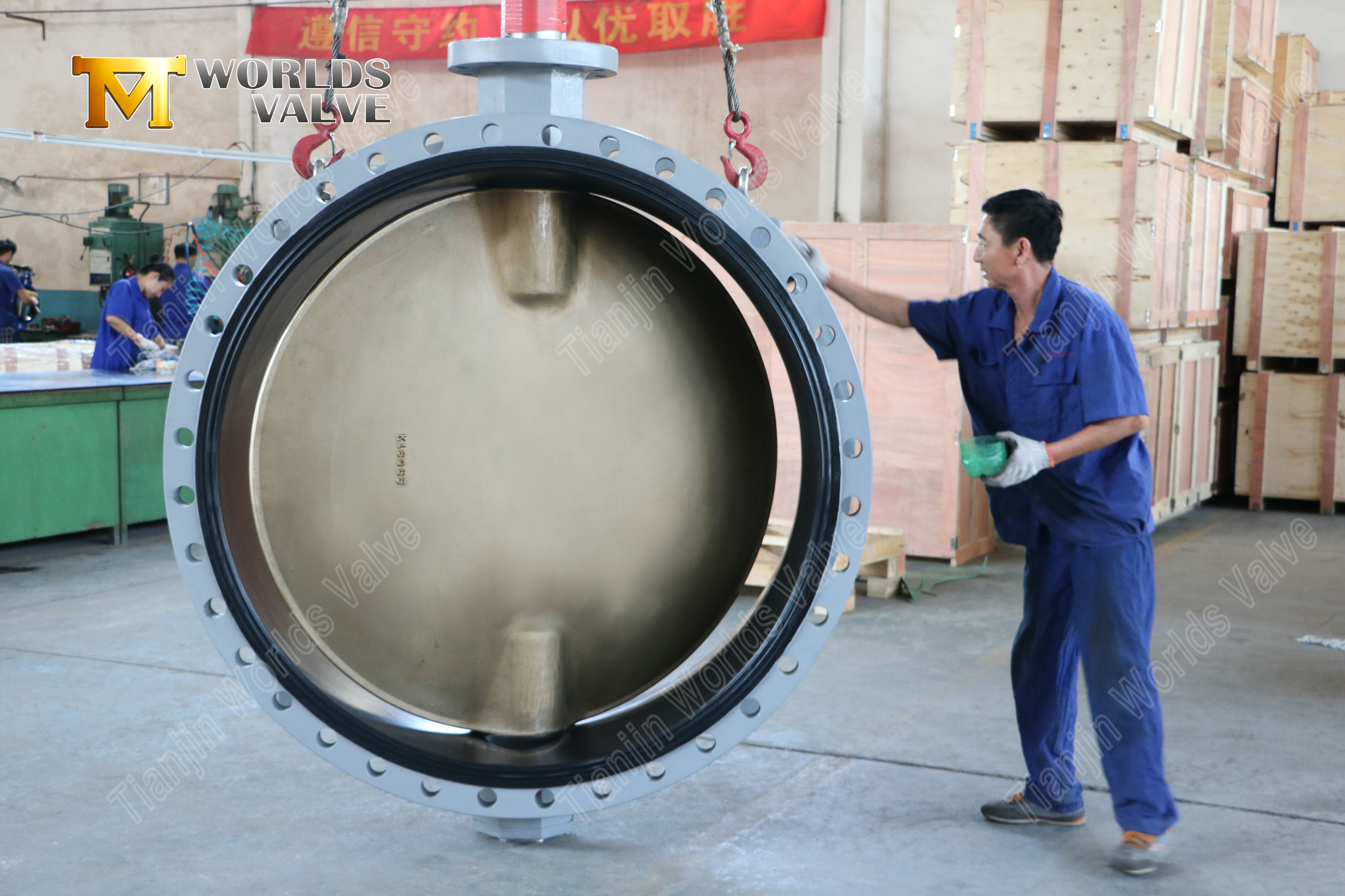 Al&uuml;minyum Bronz Disk &Ccedil;ift Flanşlı Kelebek Vana (3)