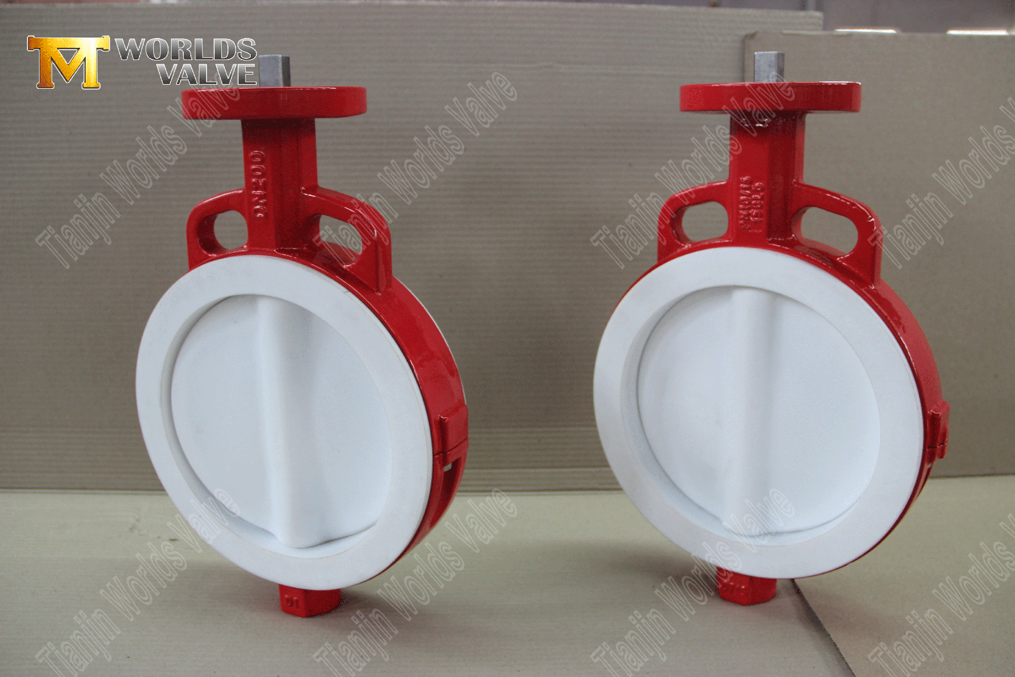 PTFE dolu astarlı-boşluk-butterfly-valve- (4)