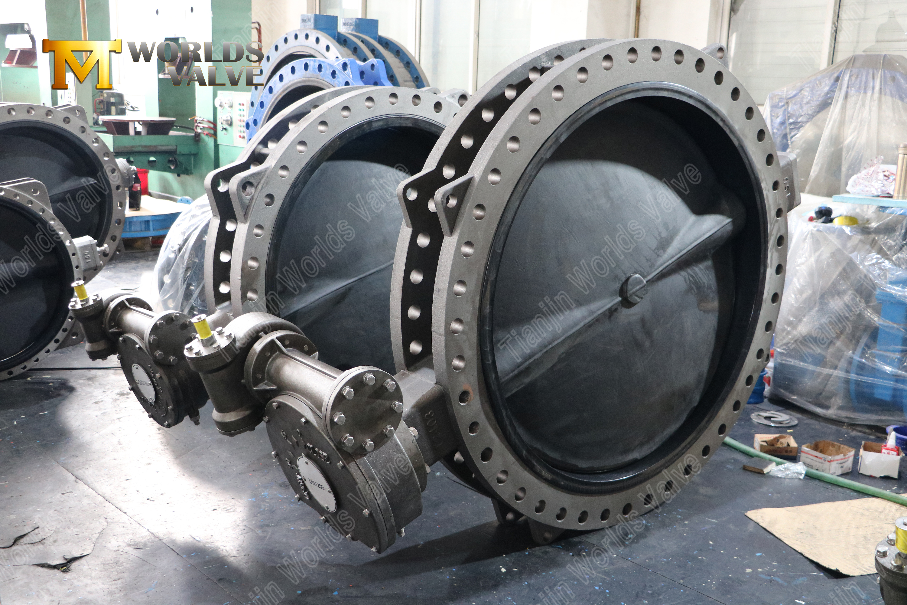 LUG tipi çek valfı nedir?