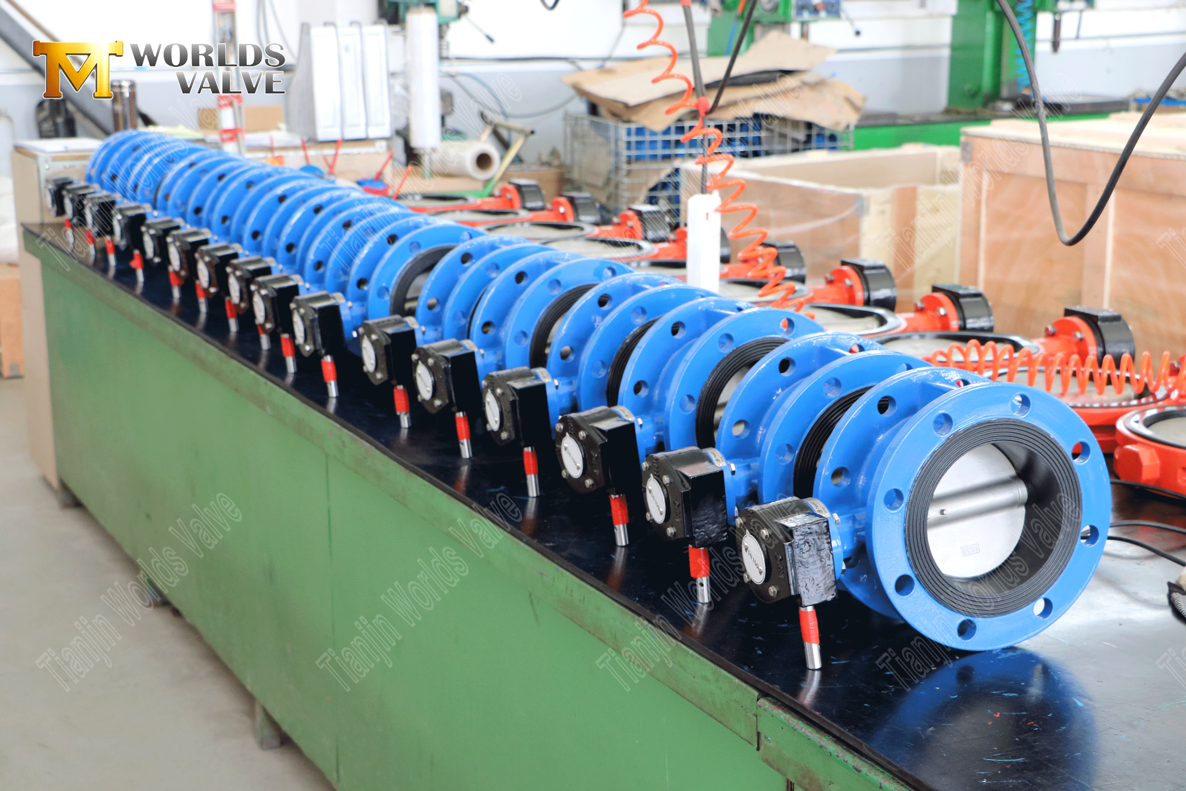 Tam SS g&ouml;vdesi ve disk-2 ile &ccedil;ift flanşlı kelebek valfı (2)