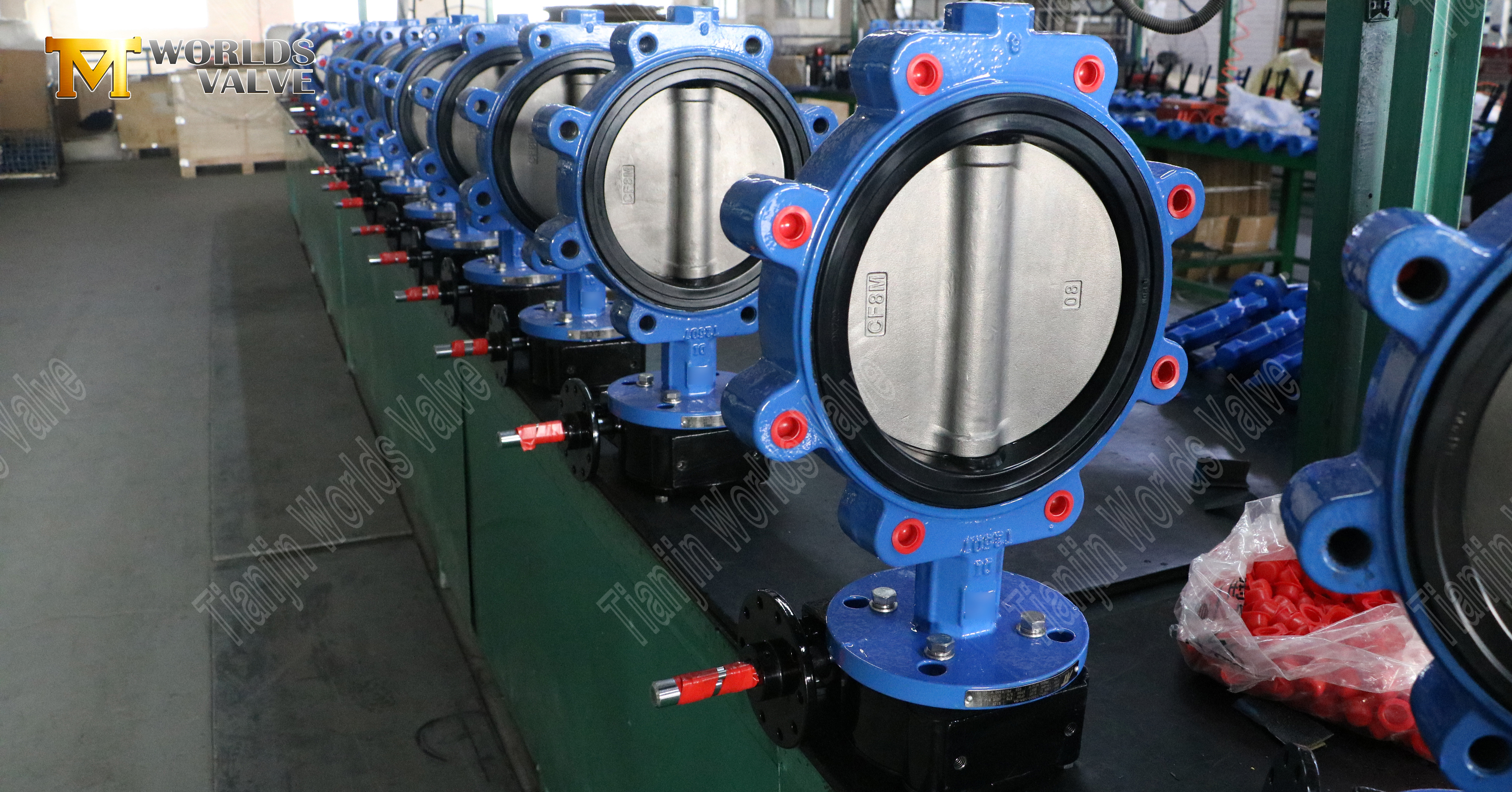 Yumuşak Kau&ccedil;uk Yuvalı ve SS Diskli Lug Tipi Kelebek Vana (1)