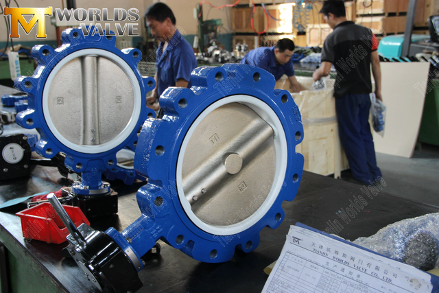 Konsantrik Kelebek Valfı Üreticileri-Kabul Tipi Kelebek Valfı Kollu