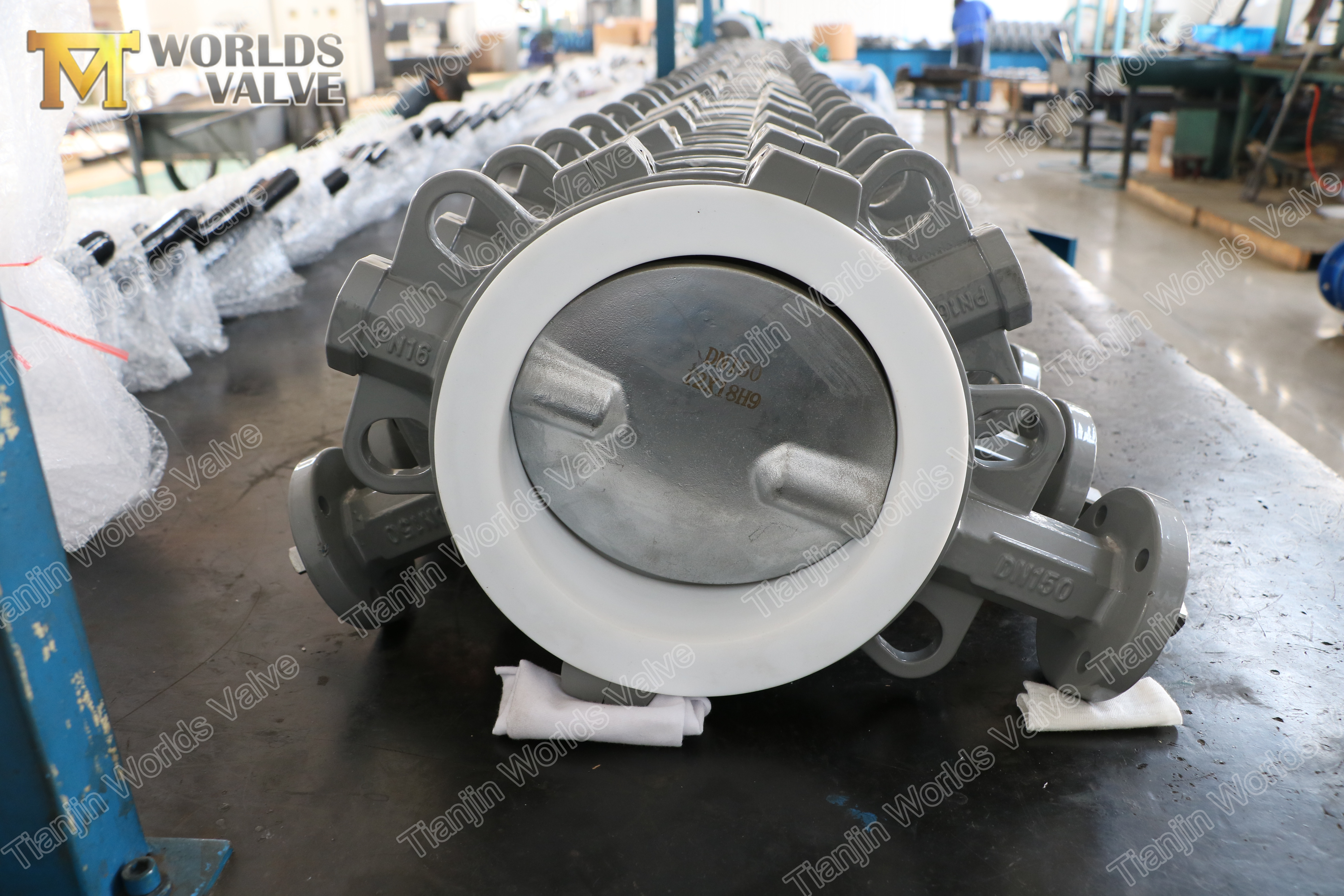 2 Tam PTFE Astar Gofret Tipi Konsantrik Kelebek Vana