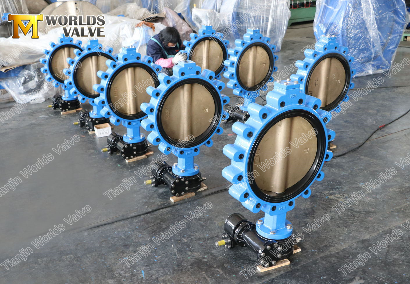 Dişli kutusu ile 6 pAG tipi kelebek vana