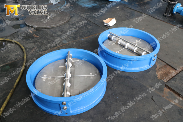 Flap Yaylı Dou Wafer Çekvalfler API594 150LB