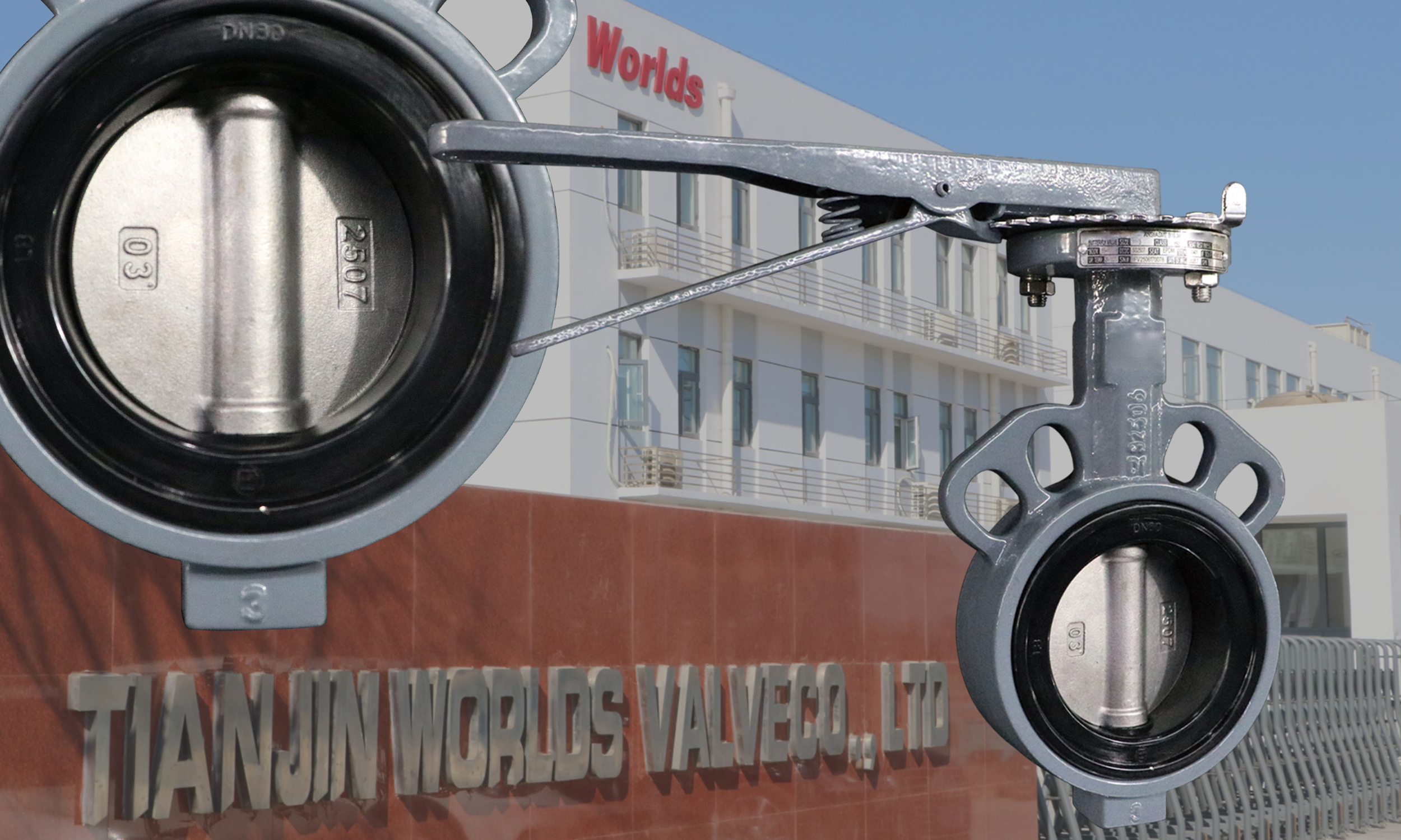 Soft Seal EPDM Kaplı SS 2507 Wafer Tip Tasarımlı Disk Kelebek Vanalar | Üstün Korozyon ve Aşınma Direnci