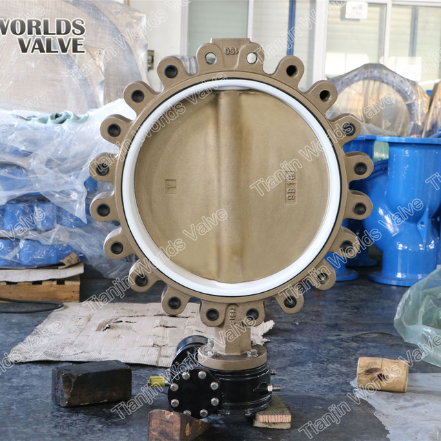 PTFE Koltuk C954 C958 C955 Alüminyum Bronz Gövde ve Disk Konsantrik Kelebek Vana