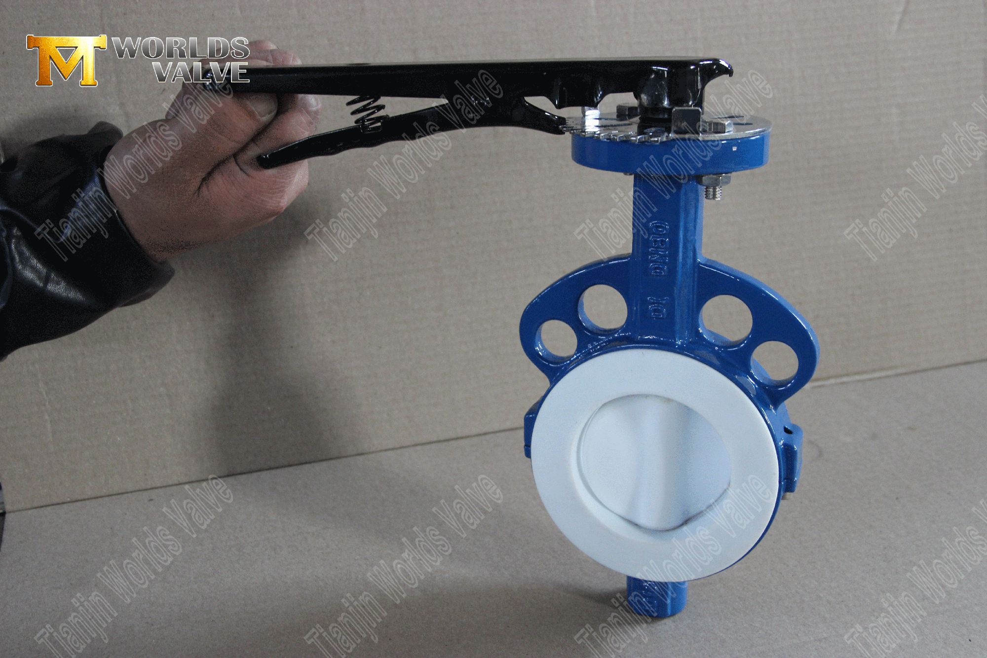PTFE dolu astarlı-boşluk-butterfly-valve- (6)