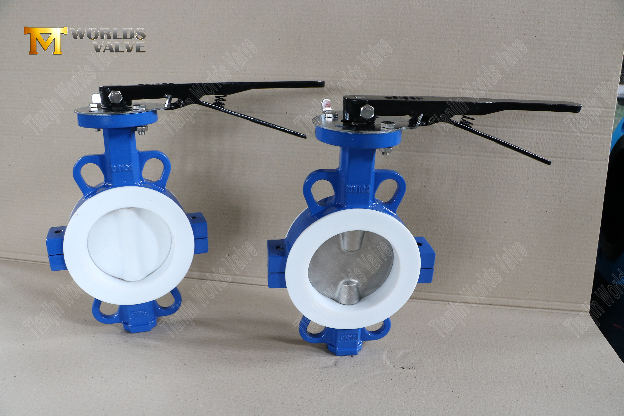 DN100-Teflon-D&uuml;zeyli-Kazan-B&ouml;l&uuml;nm&uuml;ş Body-Butterfly-Valves-Korozyona Dayanıklı Akış-Kontrol- (9)