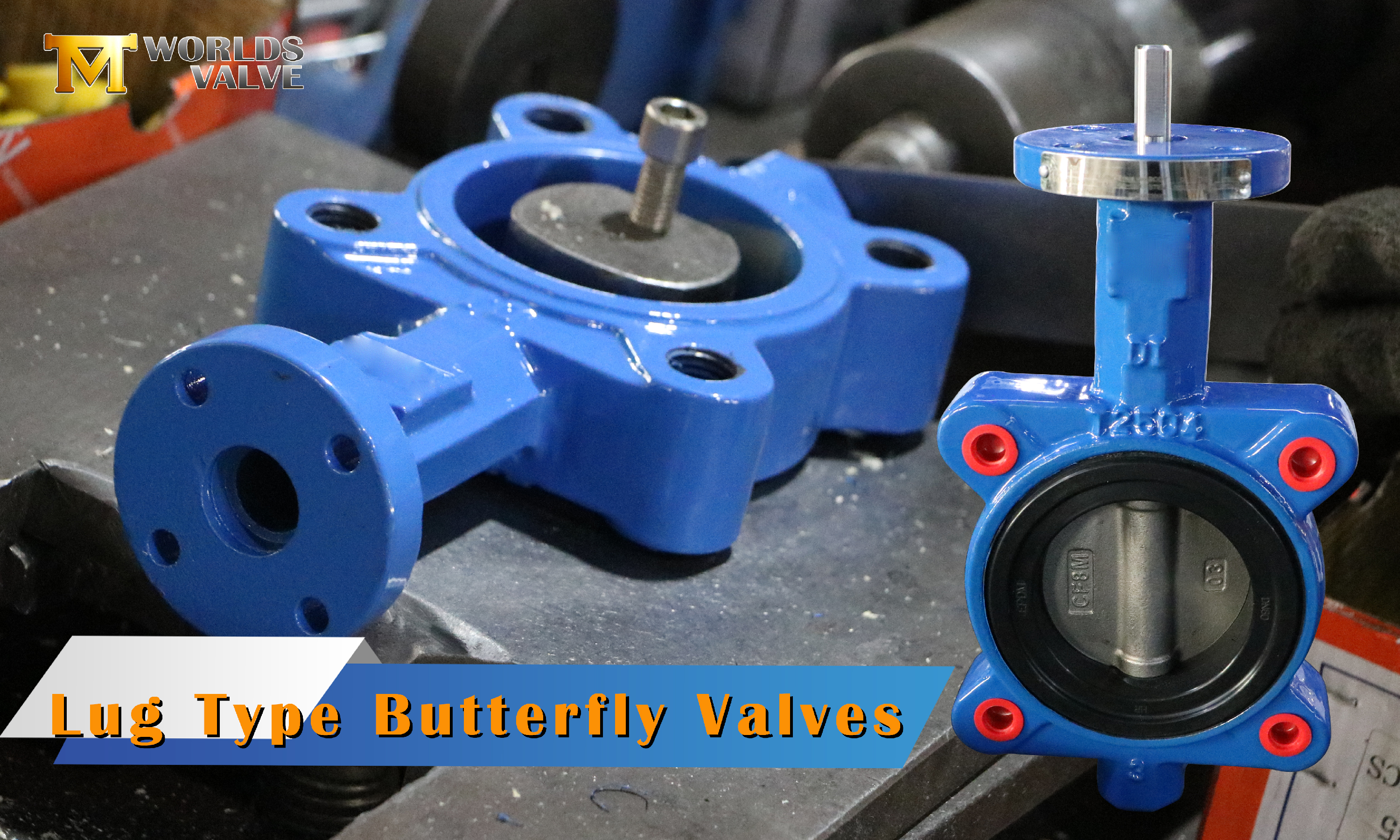 Lug Tipi Kelebek Vana Nedir?