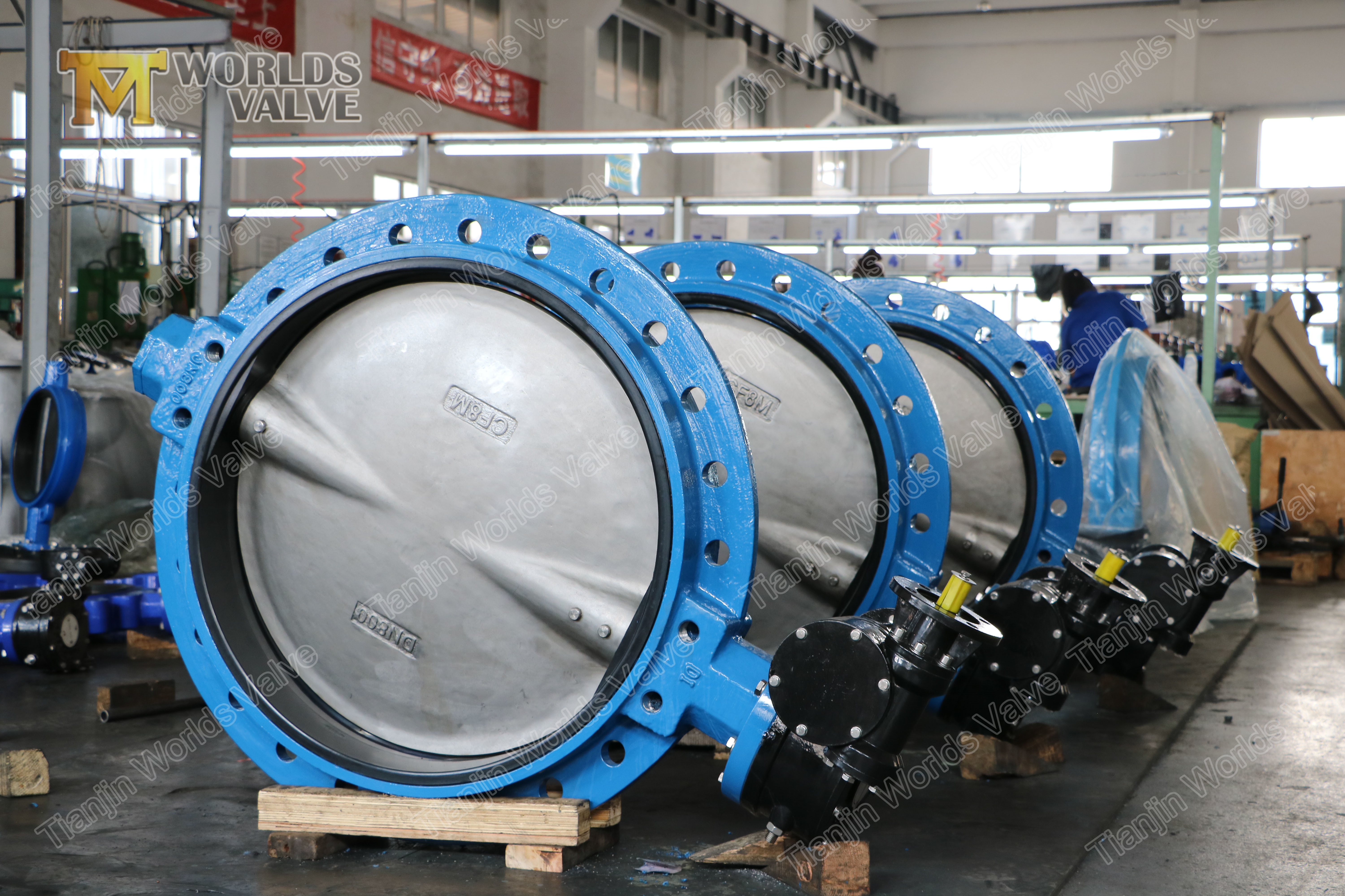 3 CF8 304 CF8M 316 Tek Flanş Kelebek Vana