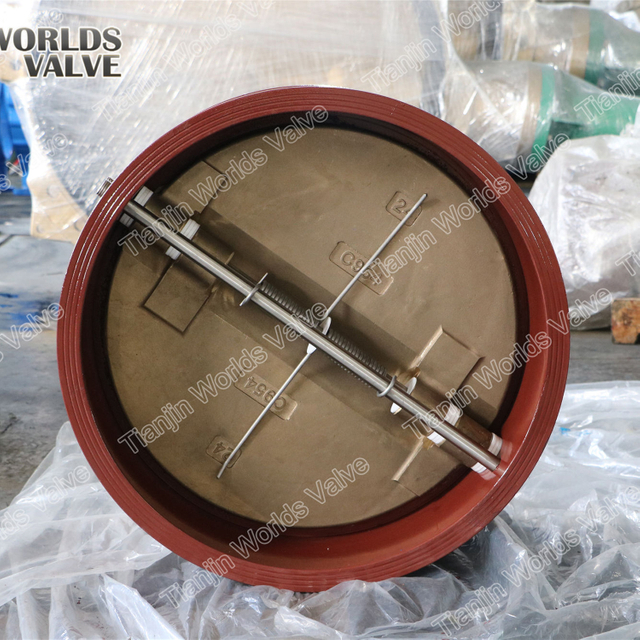 Geri dönüşsüz çift plakalı çek valf PN10 PN16 CLASS150