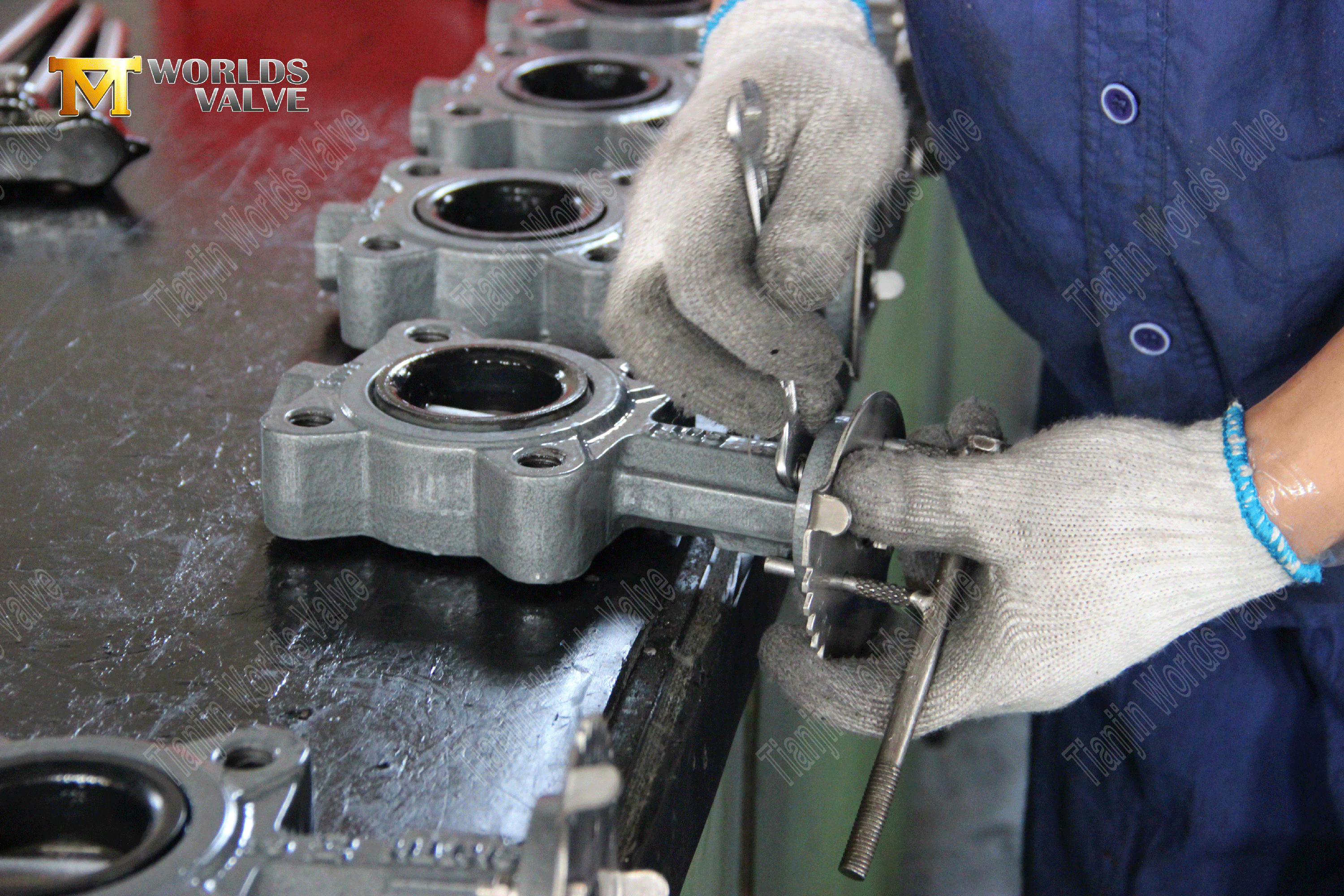 OEM ODM Valf &Uuml;reticisi-Kabul Stili Esnek Oturmuş Kelebek Vanaları (5)