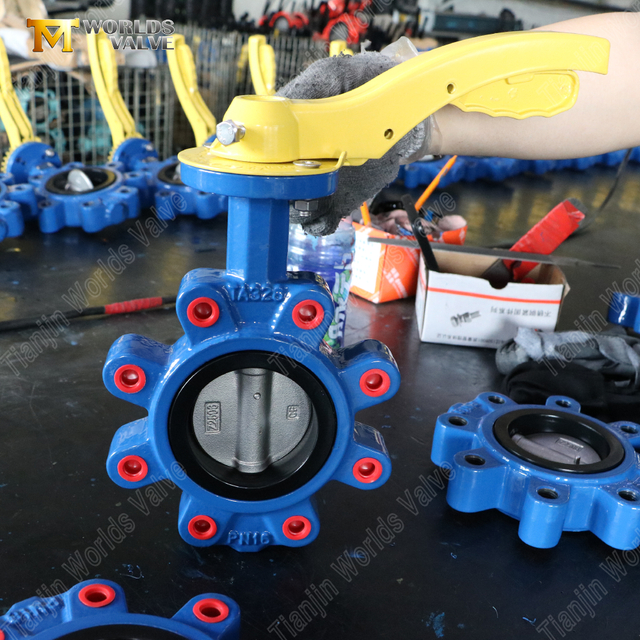 Lug Kelebek Vana | CF8M Disk | PN16