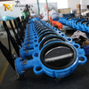 6 İnç Wafer Kelebek Vana – Sınıf 150, CF8M Disk, EPDM Koltuk